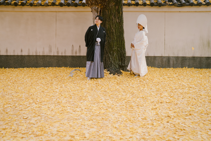 【6月申込限定】紅葉早割キャンペーン|ロケーション和装1点