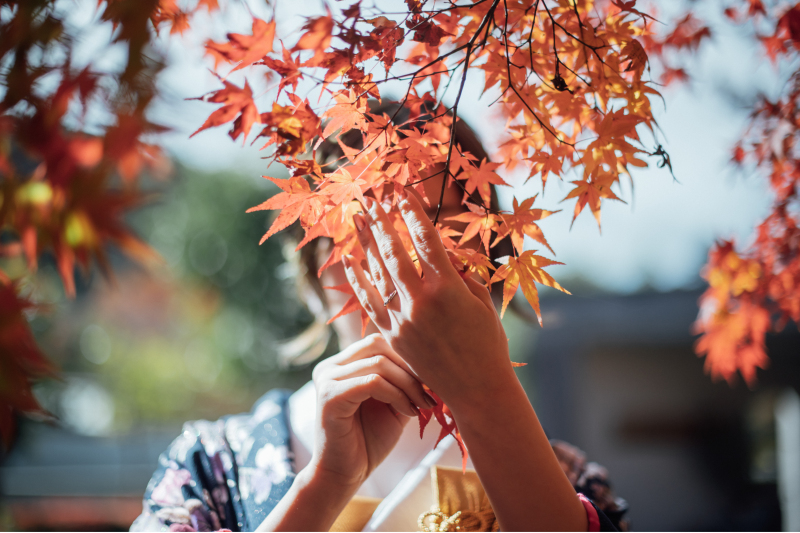 【12月24日までの撮影限定】2着がお得!秋のドリームキャンペーン|洋装・和装ロケーション(衣装2着・全データ)