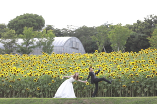 夏がやってくる