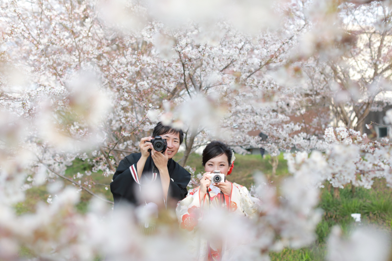 桜のベストスポット