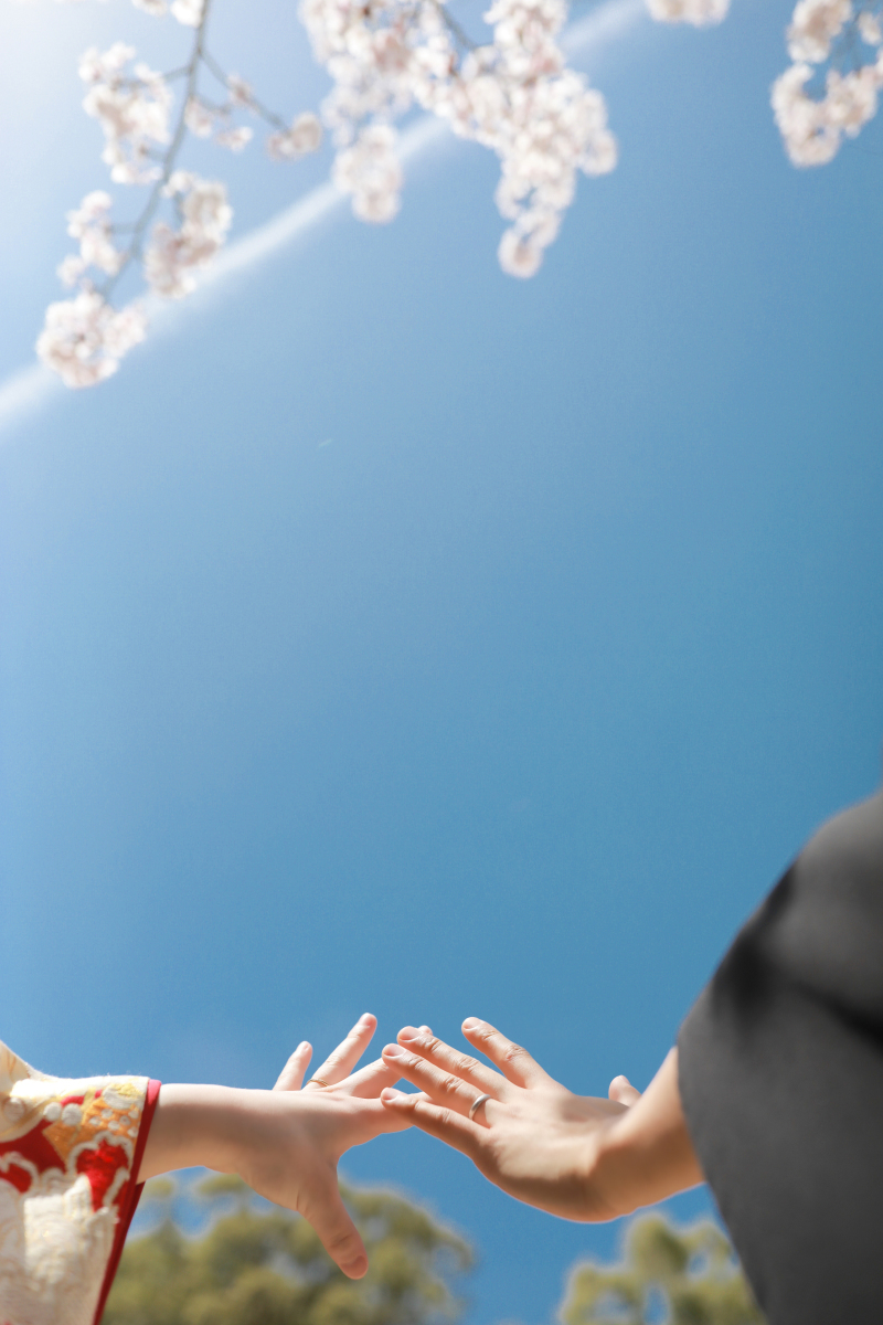 真っ青な空の下で輝くモノ