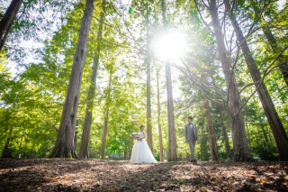 緑いっぱいに囲まれて