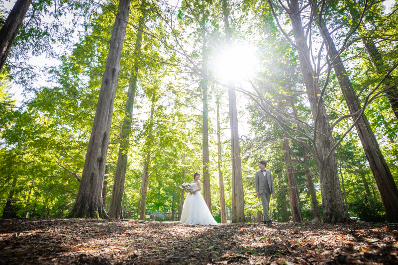 緑いっぱいに囲まれて