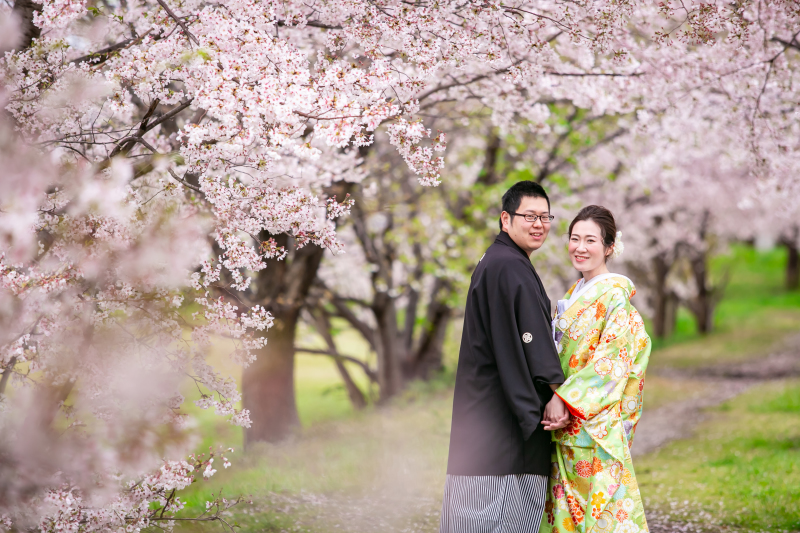 ピンクだけじゃない、緑と交えた桜ロード