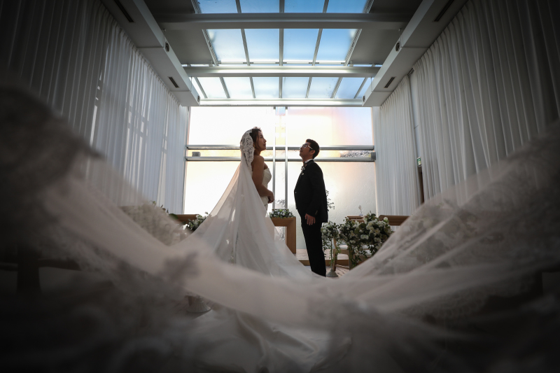 天井から見える空と