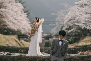 桜の木に囲まれて、、、