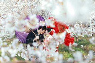桜と共に撮影をしてみませんか？