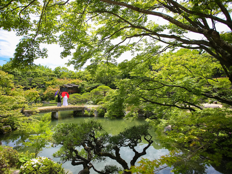 写真を彩る美しい四季の色合い