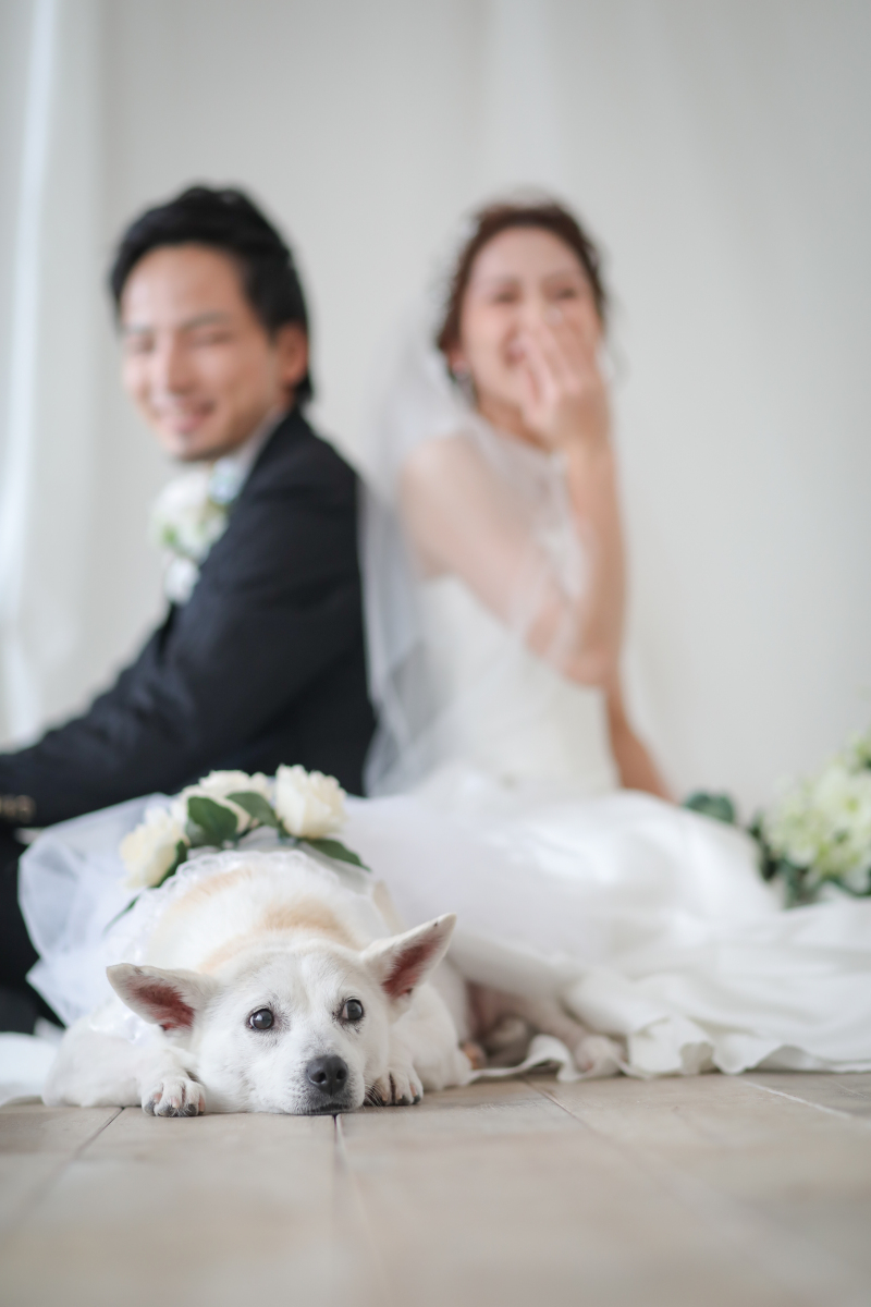 ラヴィファクトリー神戸店_ペットと一緒に撮影できる