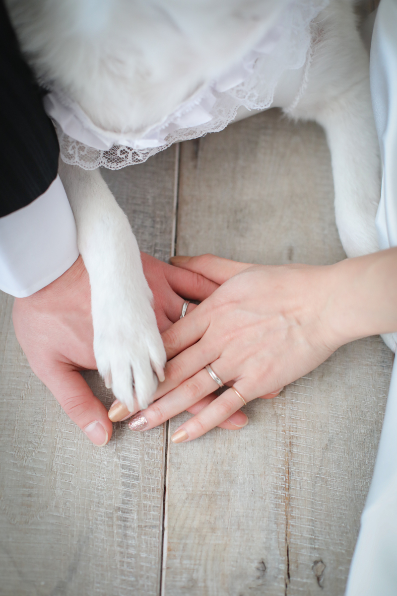 ラヴィファクトリー神戸店_ペットと一緒に撮影できる