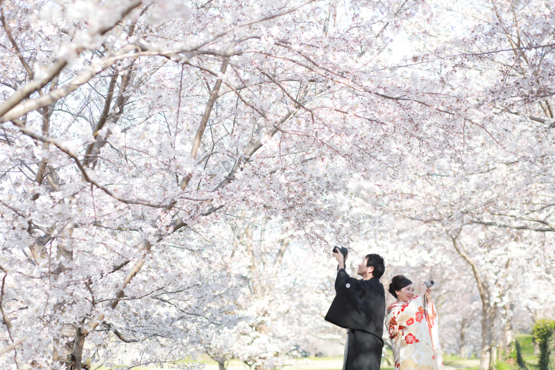 ラヴィファクトリー神戸店_色打掛・着物が豊富