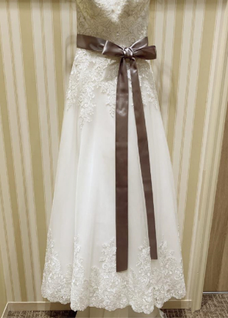 サッシュベルト