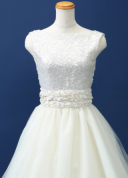 サッシュベルト