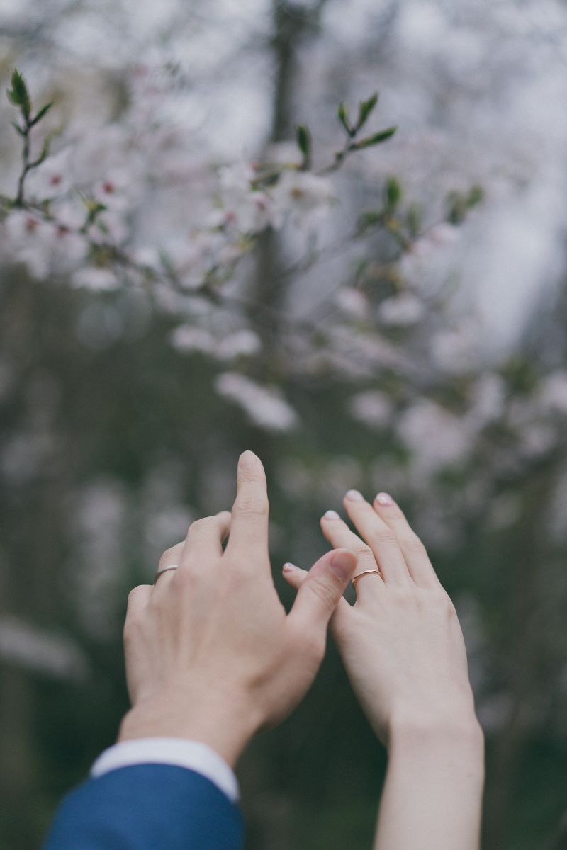 ハートのある写真