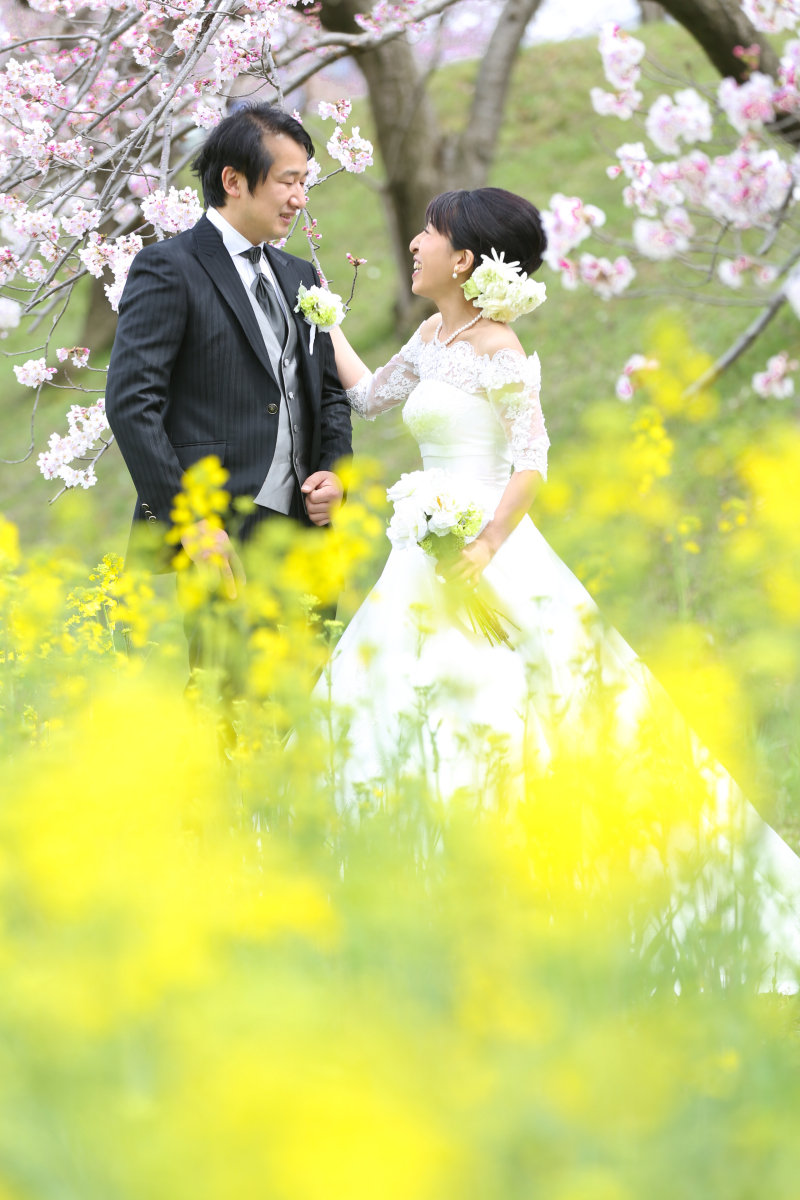 桜と菜の花と一緒に！