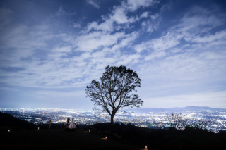 洋装ロケーションフォト