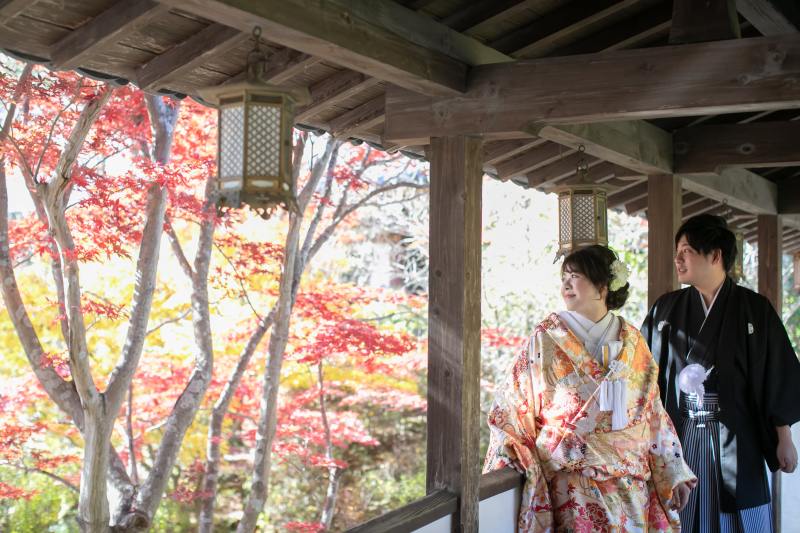 柔らかな日差し