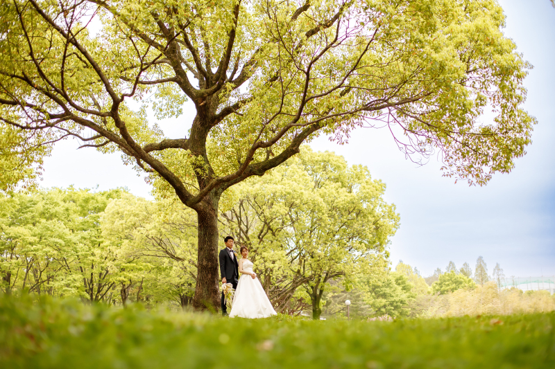 日差しを浴びて