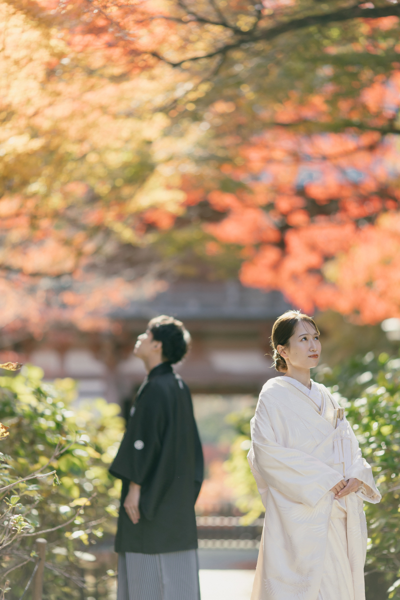 秋。アキ。あき。
