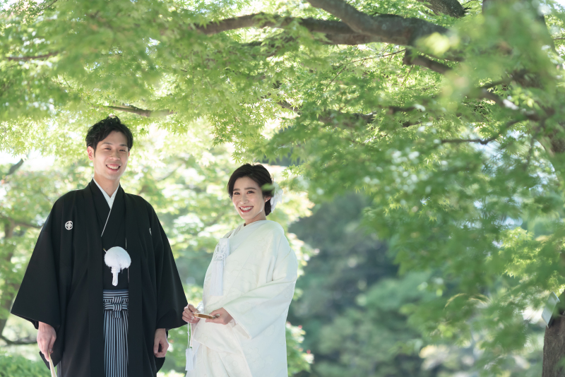 新緑の大仙公園