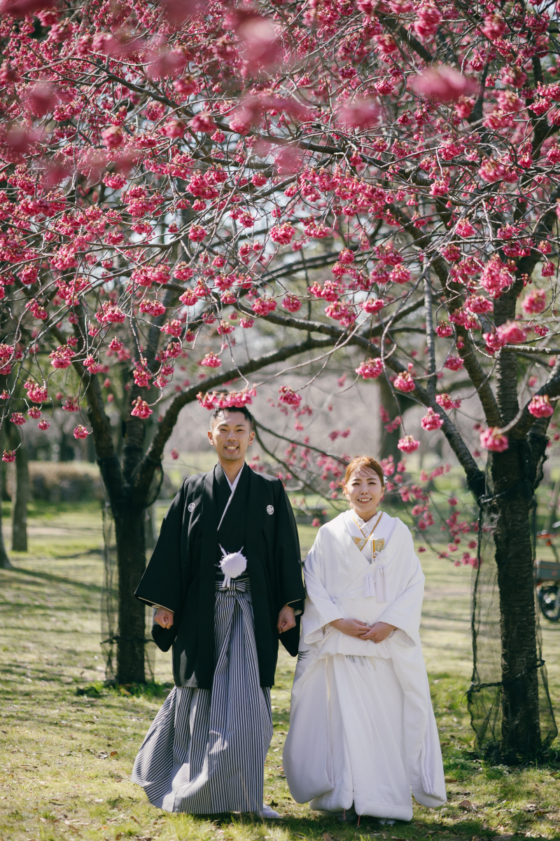 梅の花に囲まれて