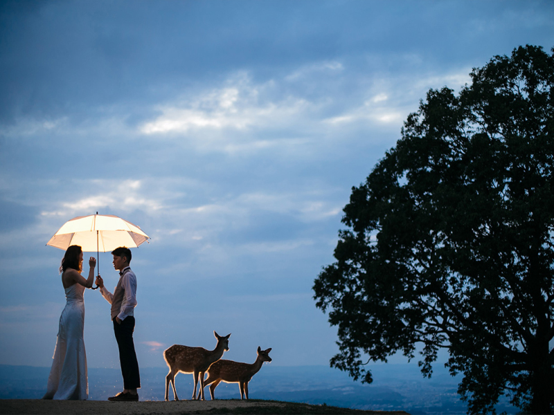 奈良の街を一望する絶景スポット「若草山」