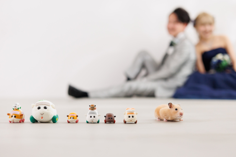 貸切空間で楽しむ「スタジオ撮影」