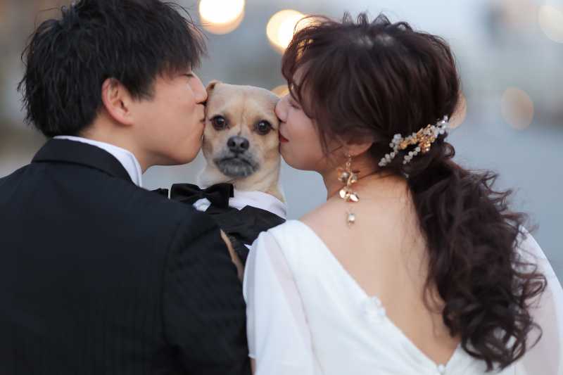 ラヴィファクトリー大阪店_ペットと一緒に撮影できる