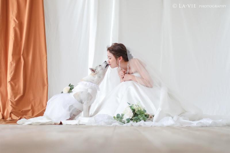 ラヴィファクトリー大阪店_ペットと一緒に撮影できる