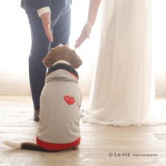 ペットとの撮影