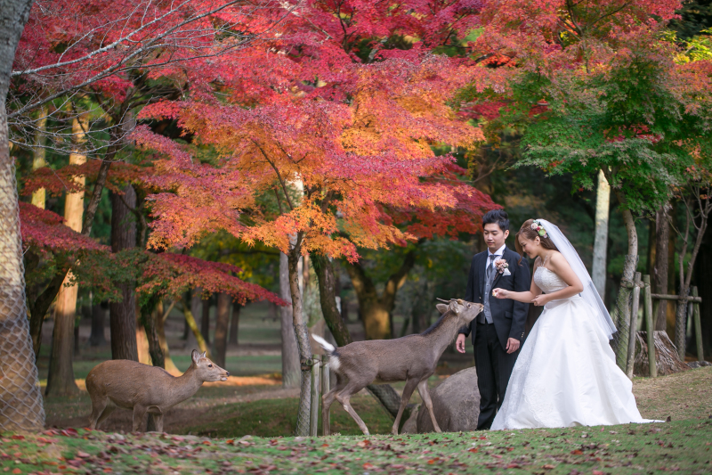 ラヴィファクトリー大阪店_歴史的建造物で撮影できる