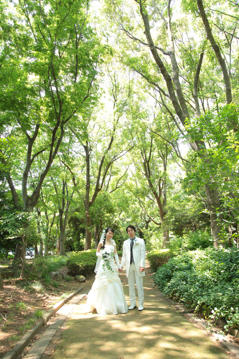 名前の通り緑あふれる森なのです