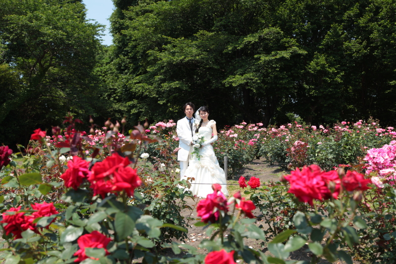 季節の花と一緒に