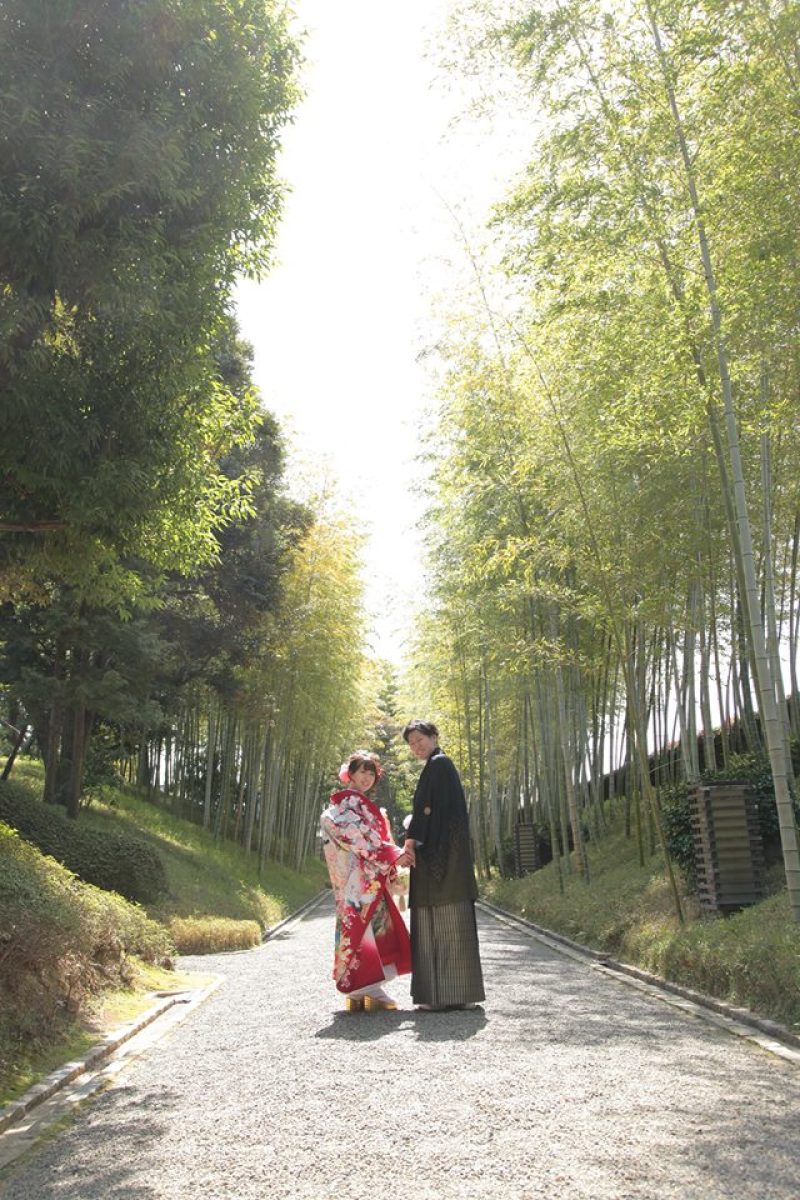 爽やかな風を感じる竹林で