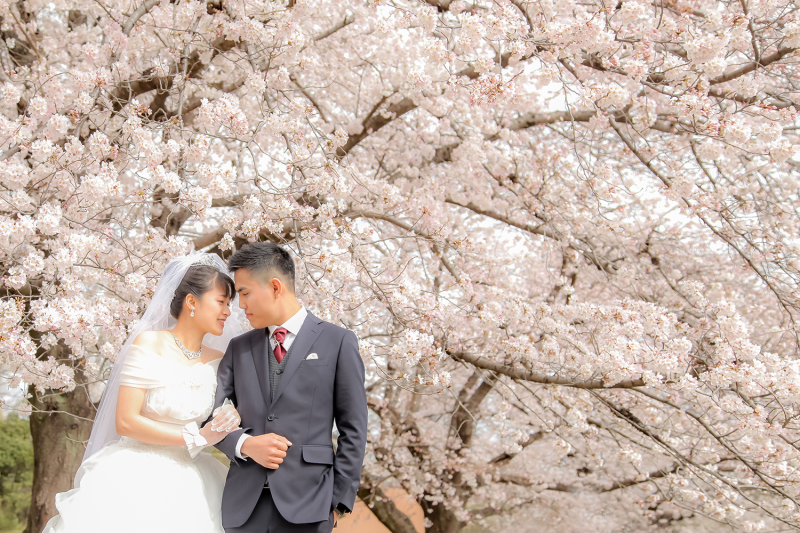 桜ロケーションフォト（市民の森）