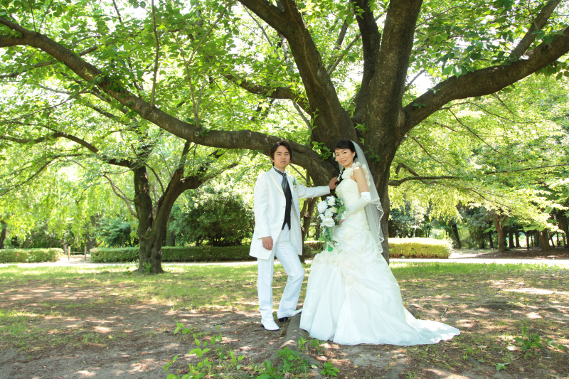 高さも広さも表現できます