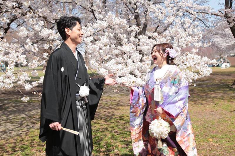 桜フォトなのです