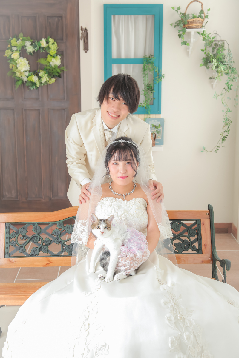 スタジオでペットと一緒に