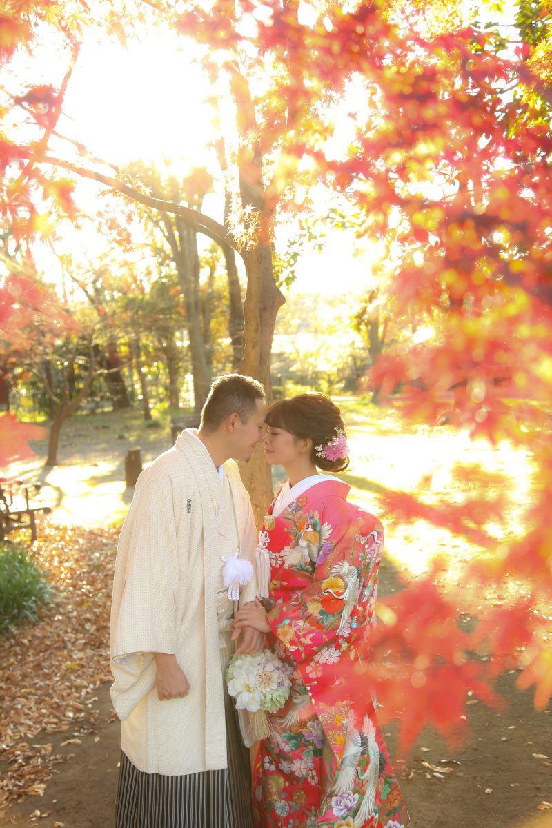 紅葉と木漏れ日（ロケーション）