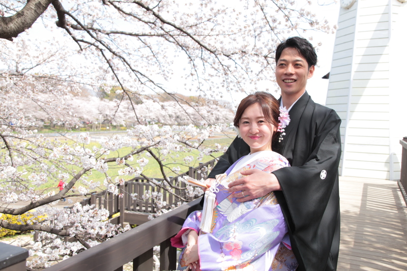 橋からの桜です