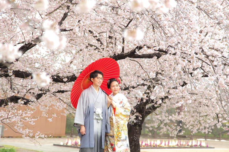 和装桜ロケーション（市民の森）