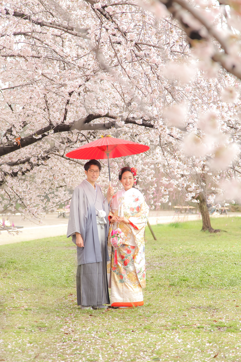 降ってきそうなほど満開の桜の中で