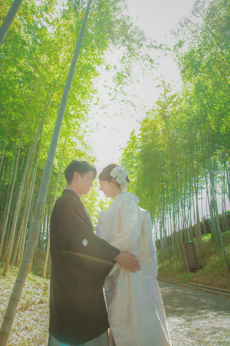 竹林にて幻想的な感じで