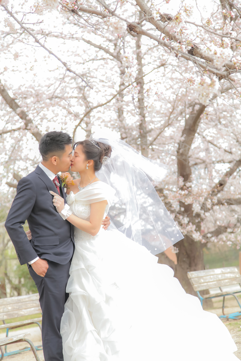 桜とキスショット