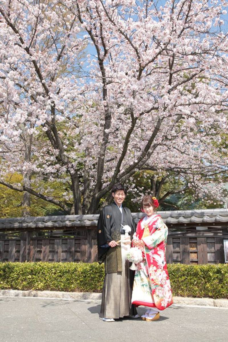 桜フォトをベースにいろいろ撮影！