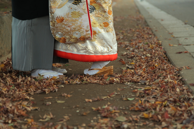 イメージカット