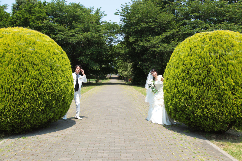 丸い木と楽しげなカットも撮れます