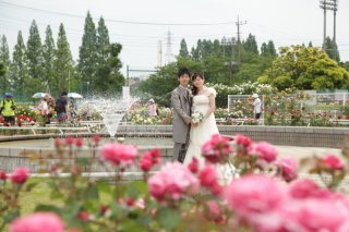 伊奈・ローズガーデンロケーションフォト