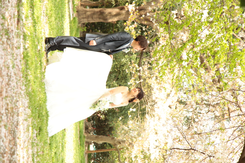 【洋装 アメシスト 】雑誌風20ページのアルバム付