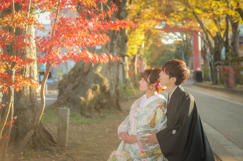 紅葉ロケーションフォト【当店徒歩1分の氷川参道ロケーション】和装基本プラン : 撮影全データ80カット付